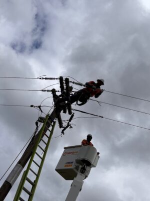 Helping the Horizon team out at Matauri Bay