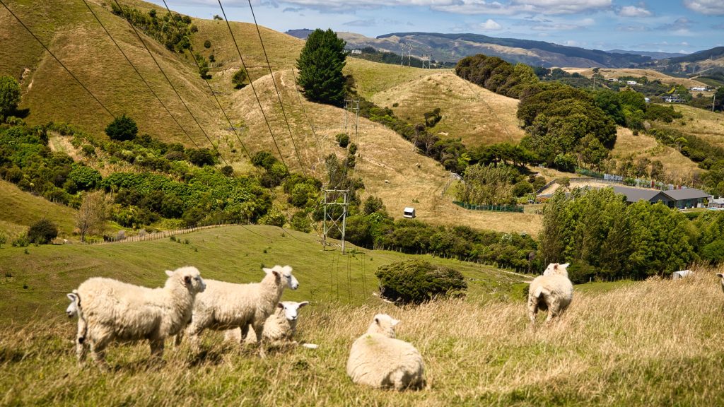 Image-12-Pauatahanui-33-kV-line---Agnes-Canita 2nd place: Agnes Canita - 'Pauatahahui 33 kV line'