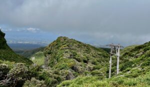 Alpine Juice 1 - C McKay