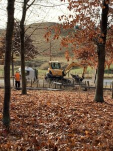 Colours of Autumn - R Jones