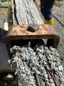 Crossarm in Nature - D Rowband