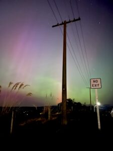 Electric Pathways - Bridging Technology and Nature - S Bhouraskar