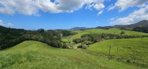 Enriching lives of Kawhia - A Abeyratne