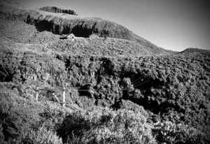 L Alpine Juice 3 BW - C McKay