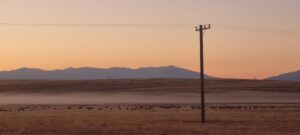 Morning in the Mackenzie - R Willis