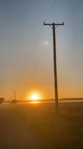 Sunny Hawkes Bay - N Goodall